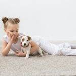 Childhood, pets and dogs concept - Little child girl posing on the floor with puppy