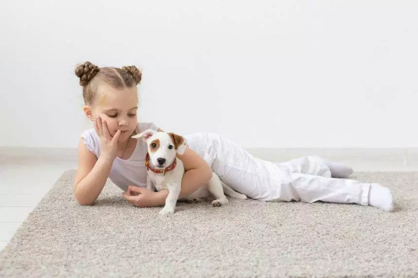 Childhood, pets and dogs concept - Little child girl posing on the floor with puppy