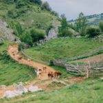 Countryside in a remote village in Romania.