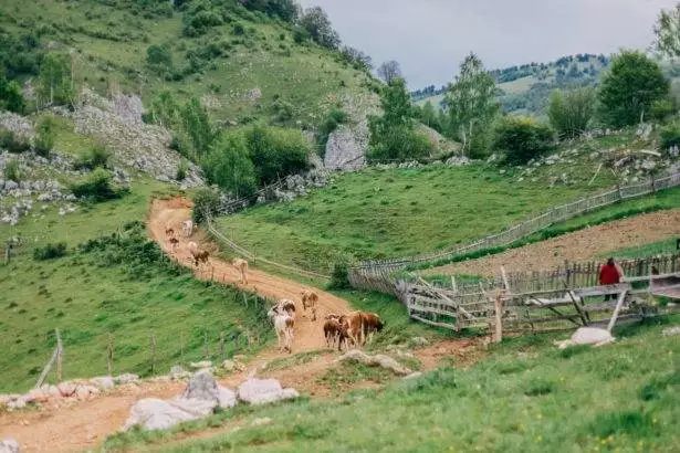 Countryside in a remote village in Romania.