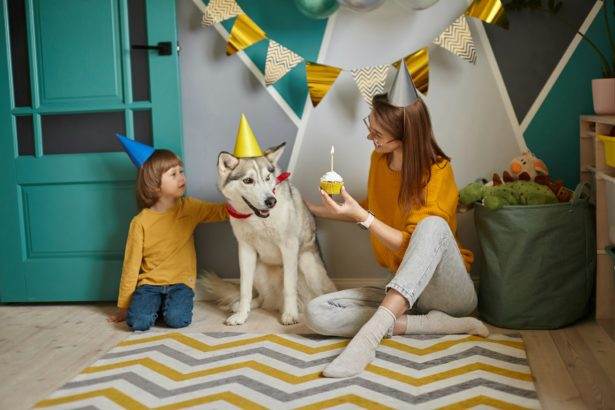 Dog pet birthday party, Happy family mother and child congratulating pet with birthday cupcake