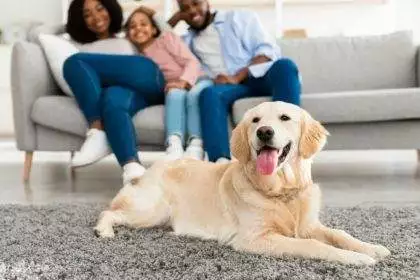 Happy black family sitting in living room with pet